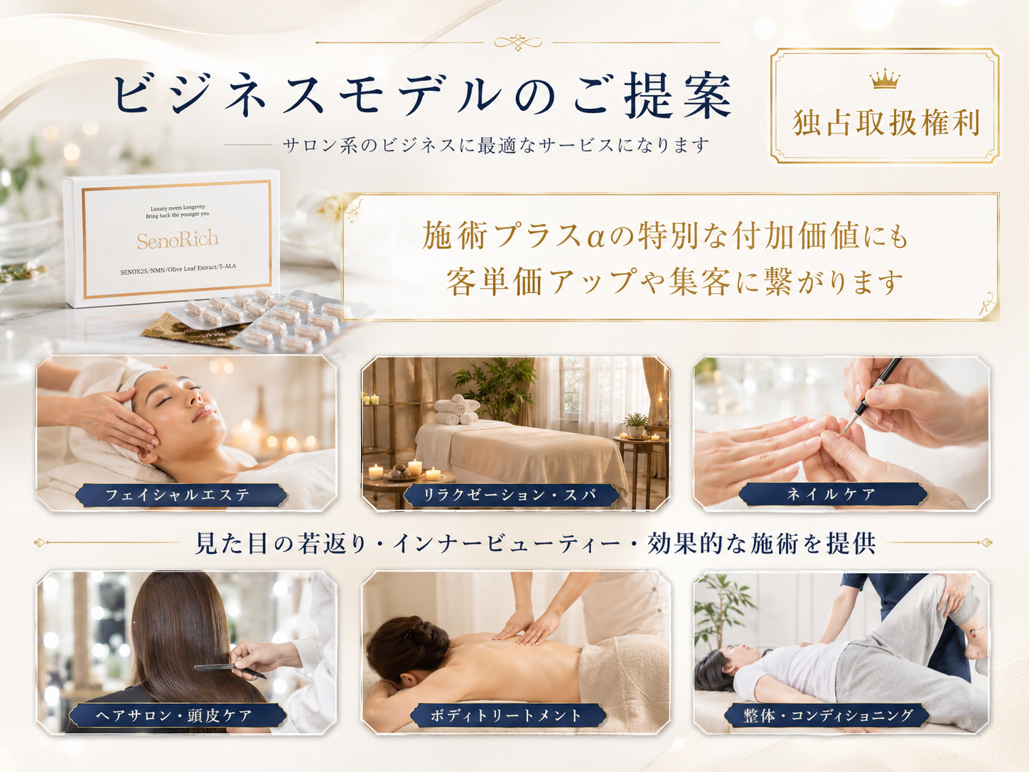 SenoRichの活用イメージ