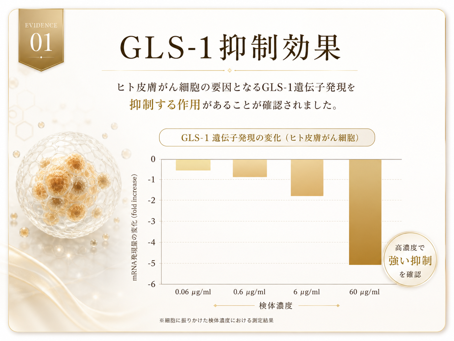 GLS-1抑制効果のエビデンス画像