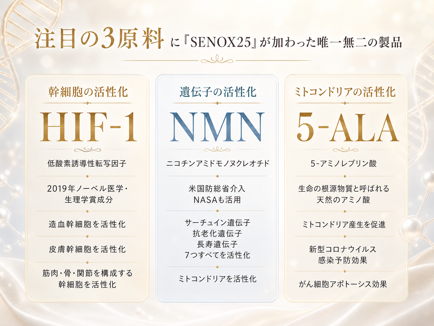 HIF-1、NMN、5-ALAとSENOX25の組み合わせを示す成分説明画像