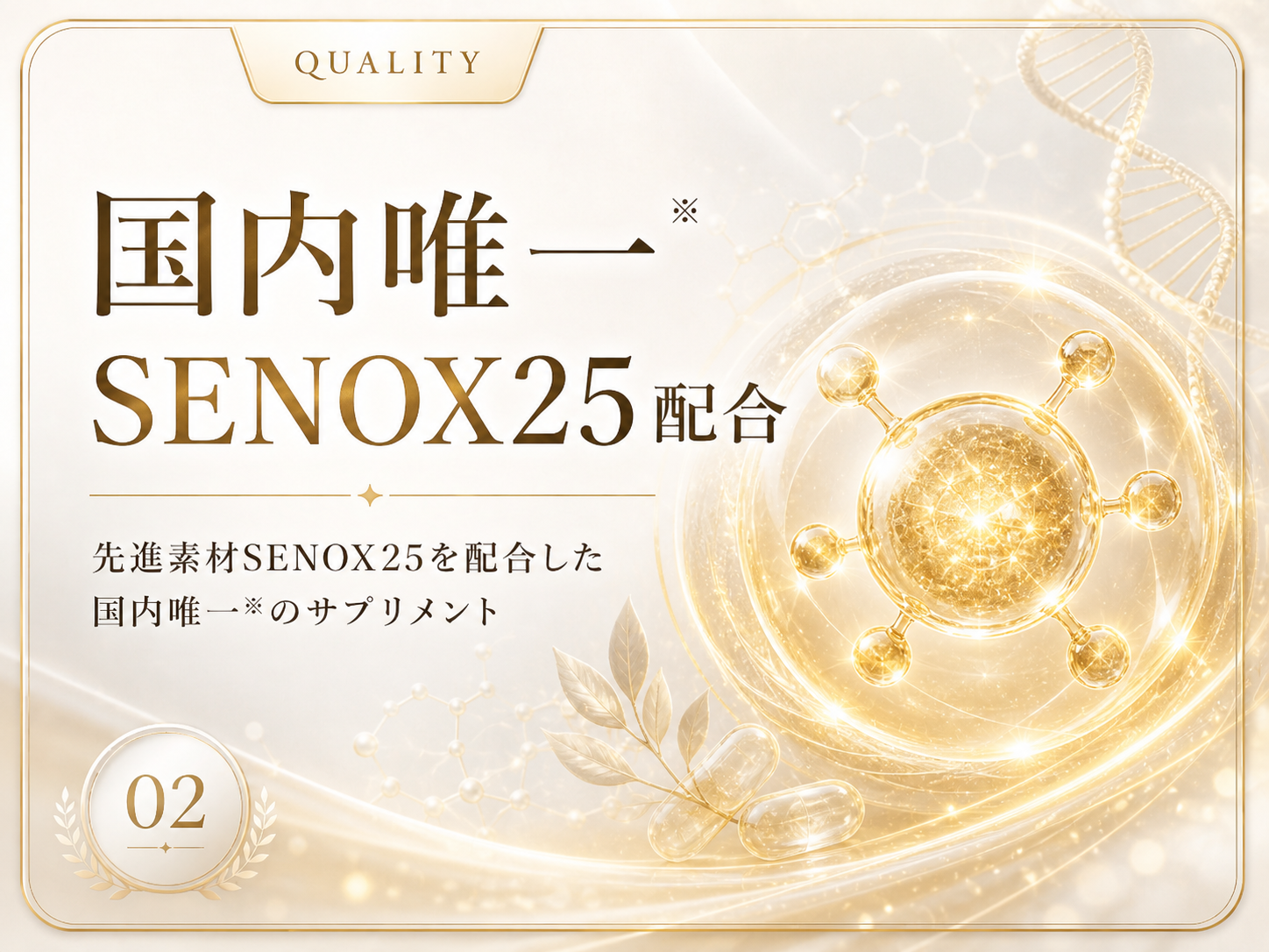 国内唯一 SENOX25配合